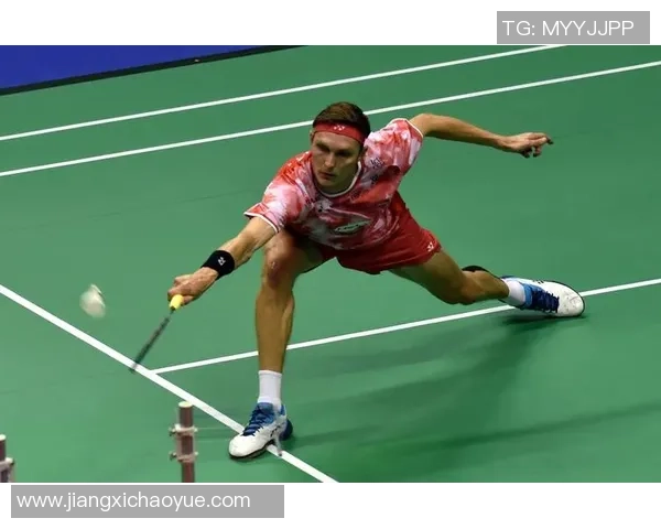 深圳羽毛球队与杭州羽毛球队赛后复盘分析力量对比与战术探讨